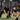 Group Baseball & Softball Fielding Training